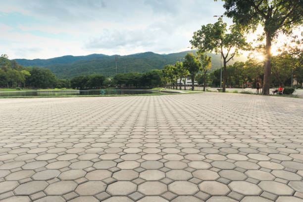 Best Residential Paver Driveway  in Boston, GA